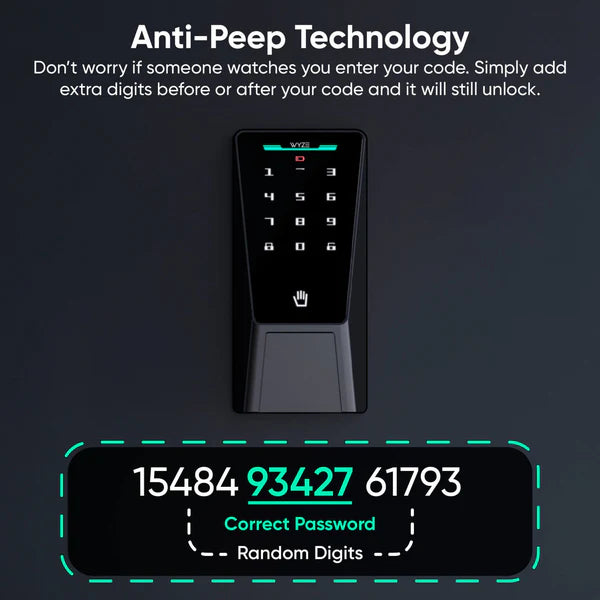 Smart Palm Lock