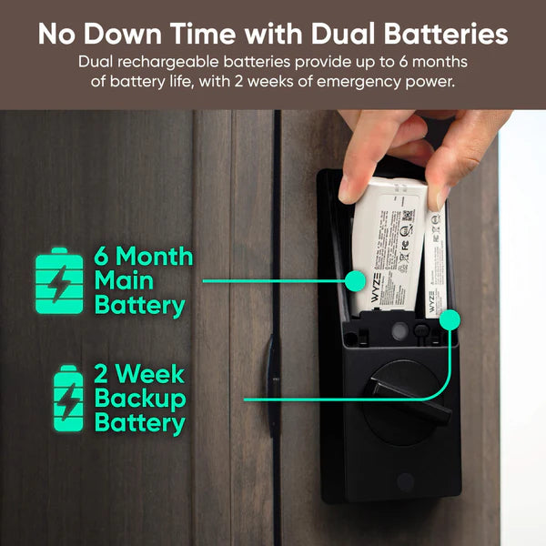 Smart Palm Lock