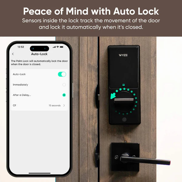 Smart Palm Lock