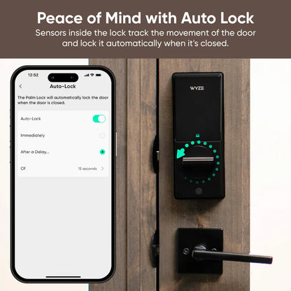 Smart Palm Lock